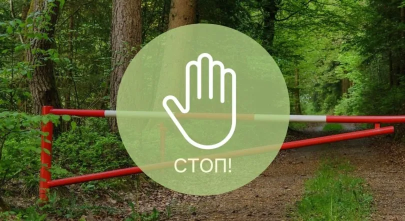 Ограничения на посещение лесов
