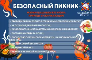 bezopasny_piknik