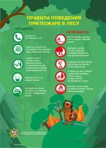 pri_pozhare_v_lesu