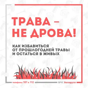 trava_ne_drova